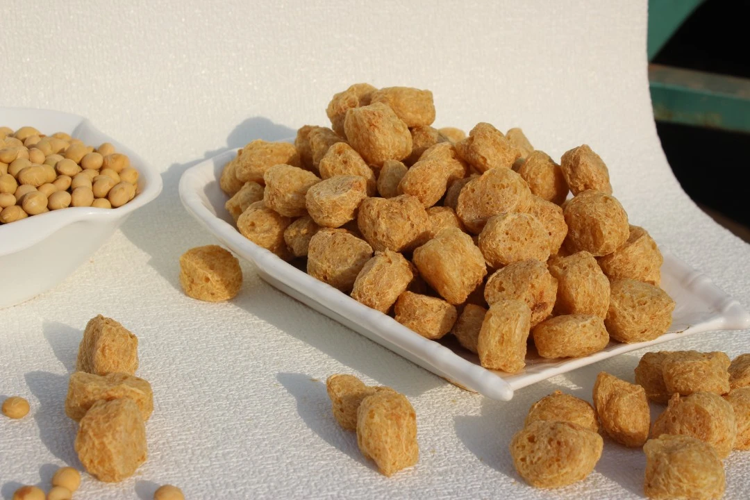 豆丸子大豆组织蛋白素肉500G素食火锅麻辣烫串串香豆制品干货包邮