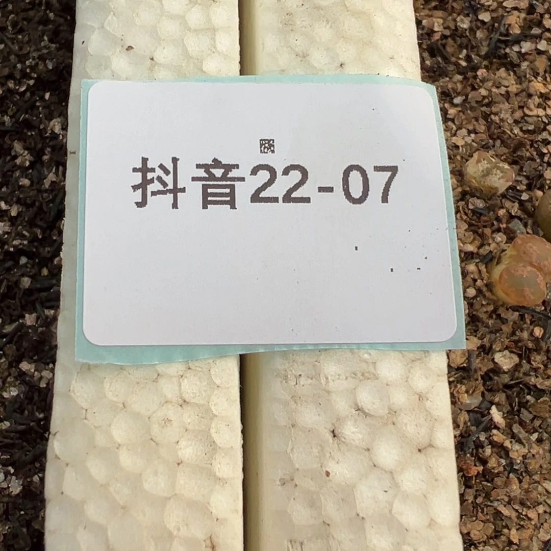 22-07勋章10颗一份