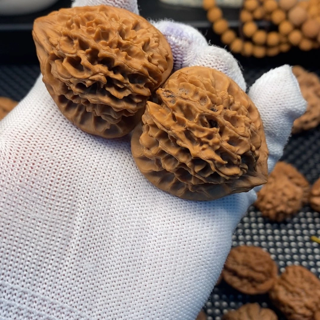 秦岭山地核桃鸡心