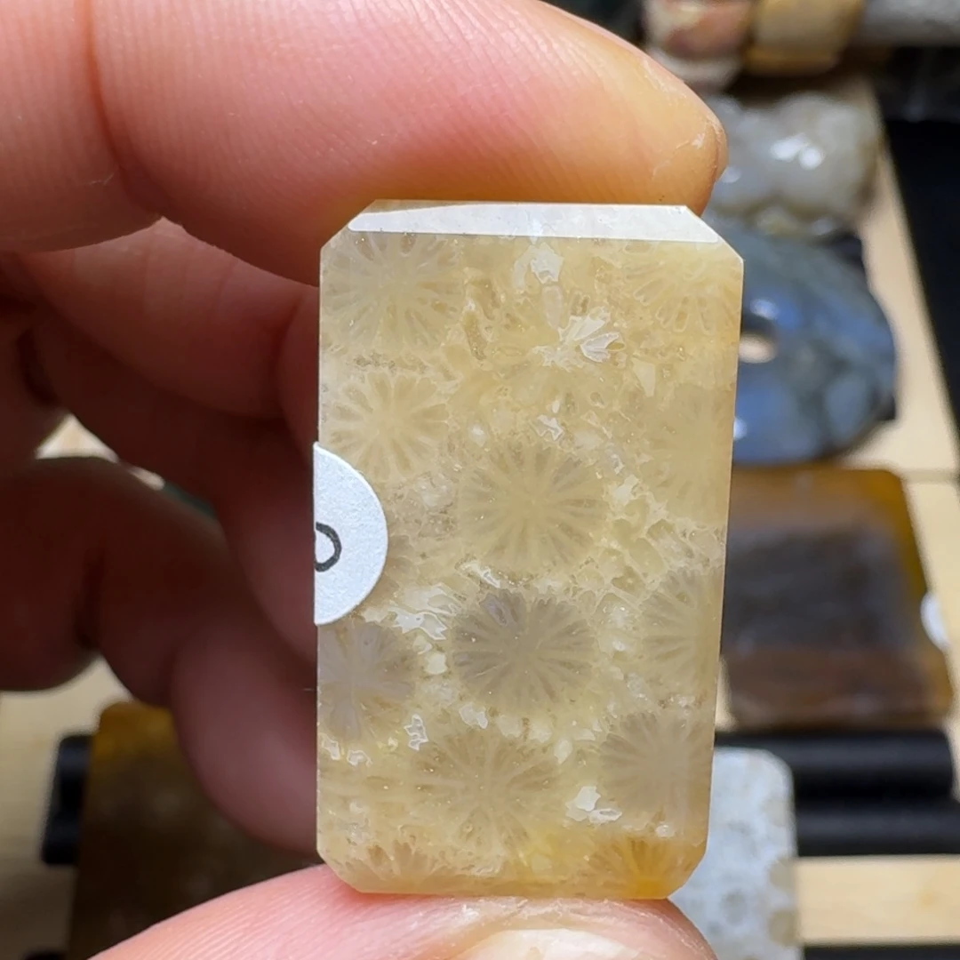 硅化玉未镶嵌纯天然色有机玉石保真色
