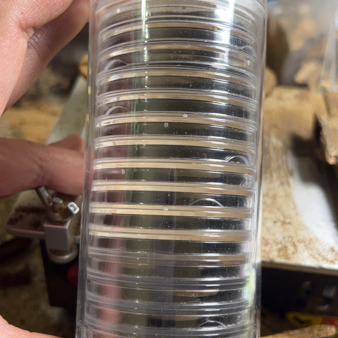 高油脂奇楠沉香大祥云5克装