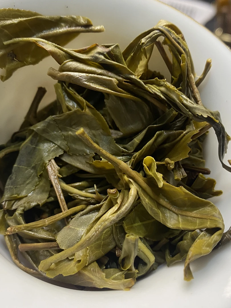 2025年 章外【茶王地单株】散茶 云南普洱茶普洱生茶散茶500g/袋