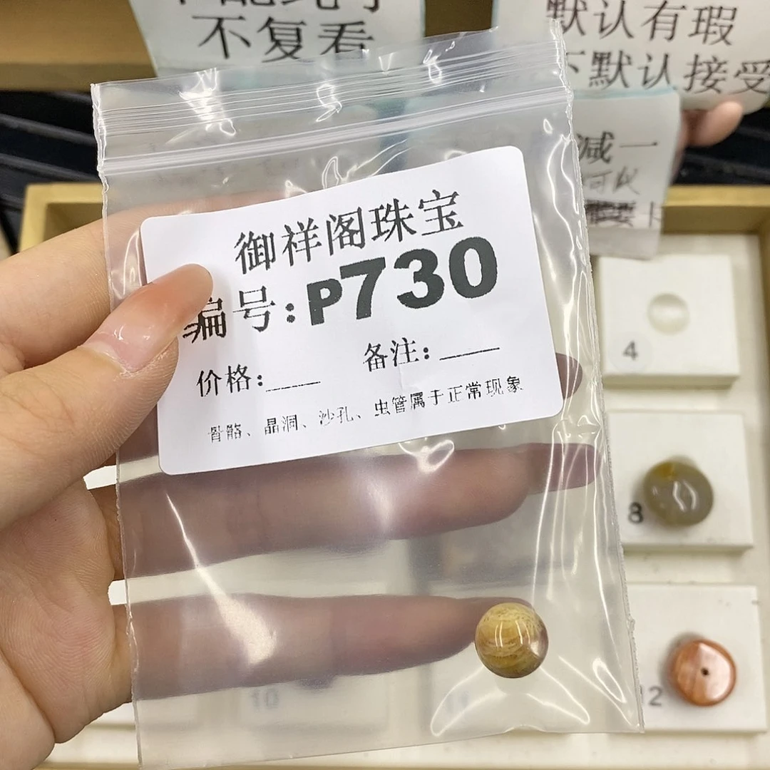 硅化珊瑚（珊瑚玉）未镶嵌颈饰若**e
