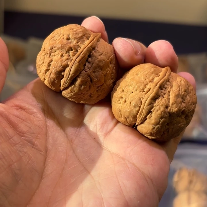 文玩核桃吊坠聚宝金蟾