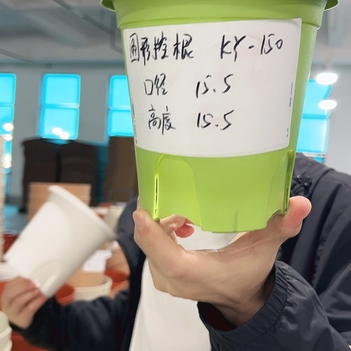 正品圆控口15高15白色带托10只