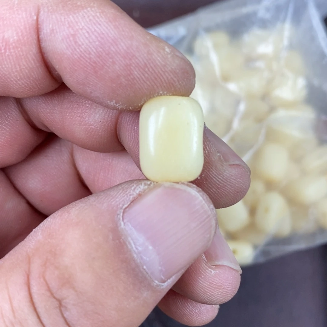 手串/手链驼骨配饰四