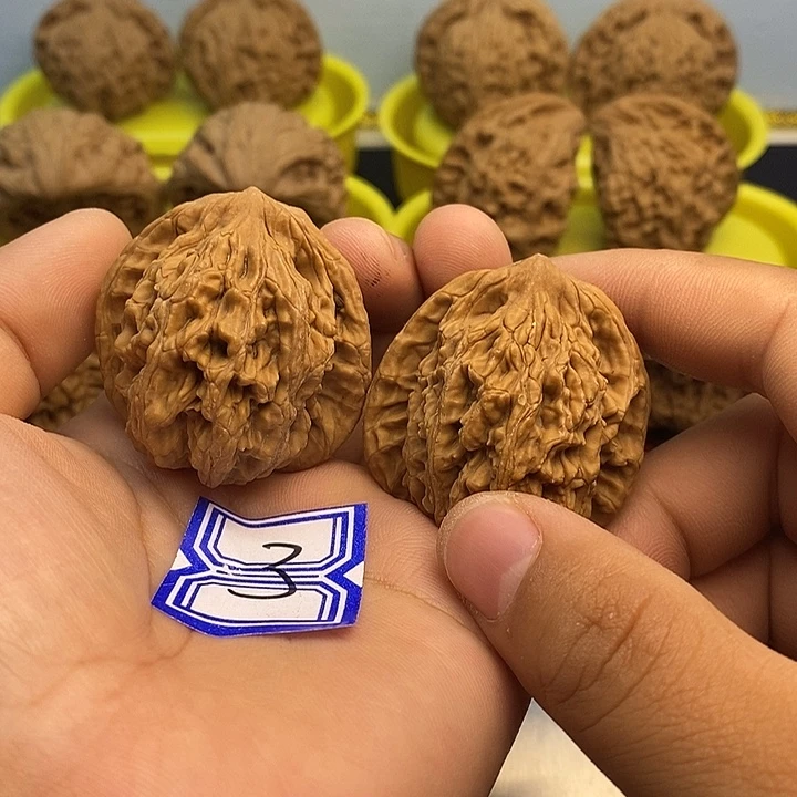 文玩核桃把件39麦虎