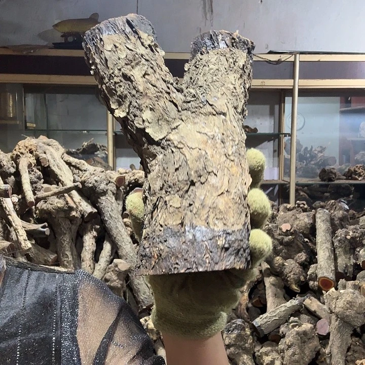 节***香榧木火琉璃的故事是一个