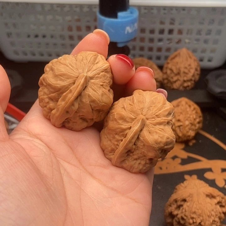 核桃@*昆蛤蟆一帆风顺