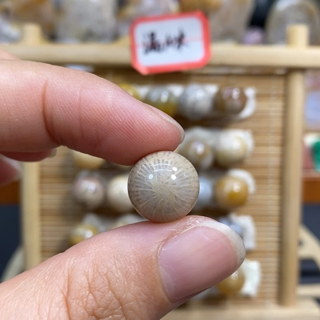 硅化玉未镶嵌颈饰K10