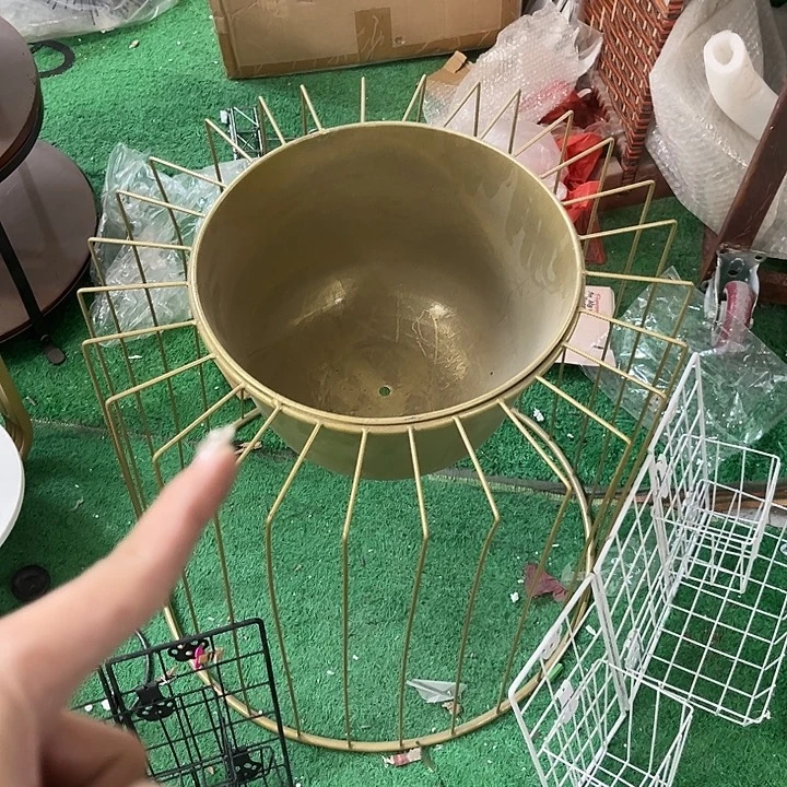 炸炸炸炸炸炸炸炸炸炸给力