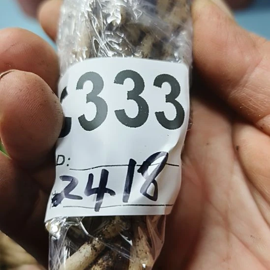 w***y完全开放7777777777