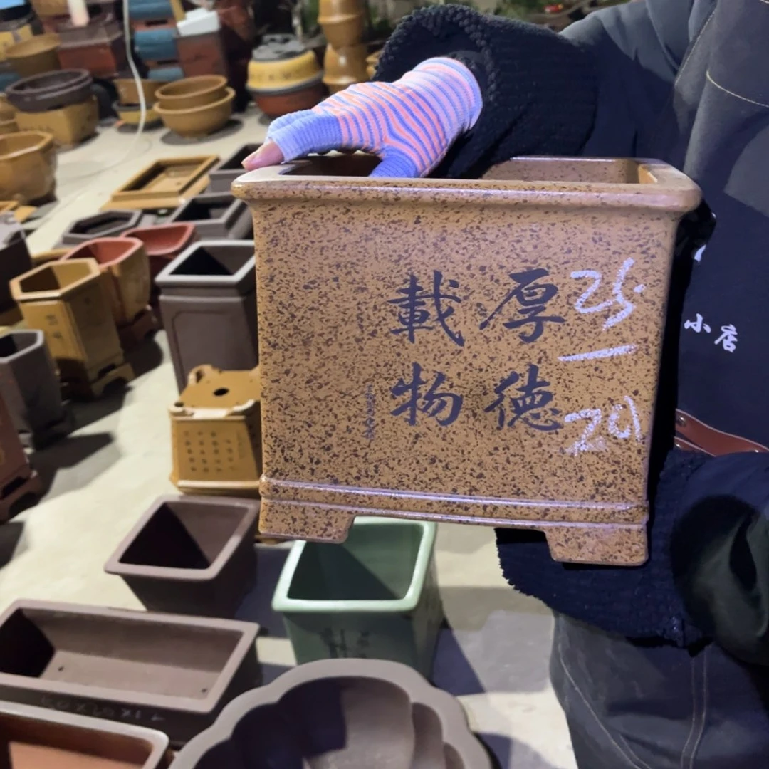 紫砂花盆盆景艺术