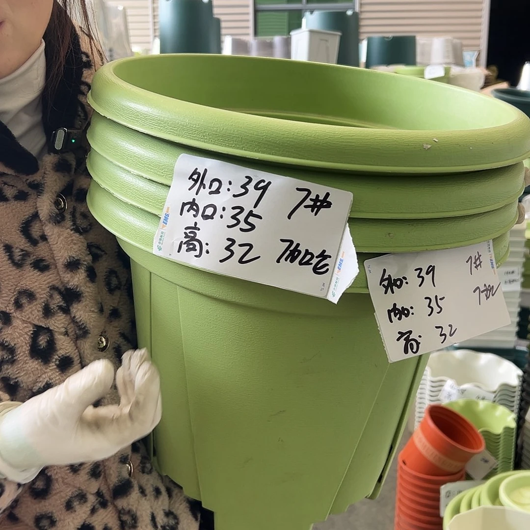 青山盆7#果绿5个无托