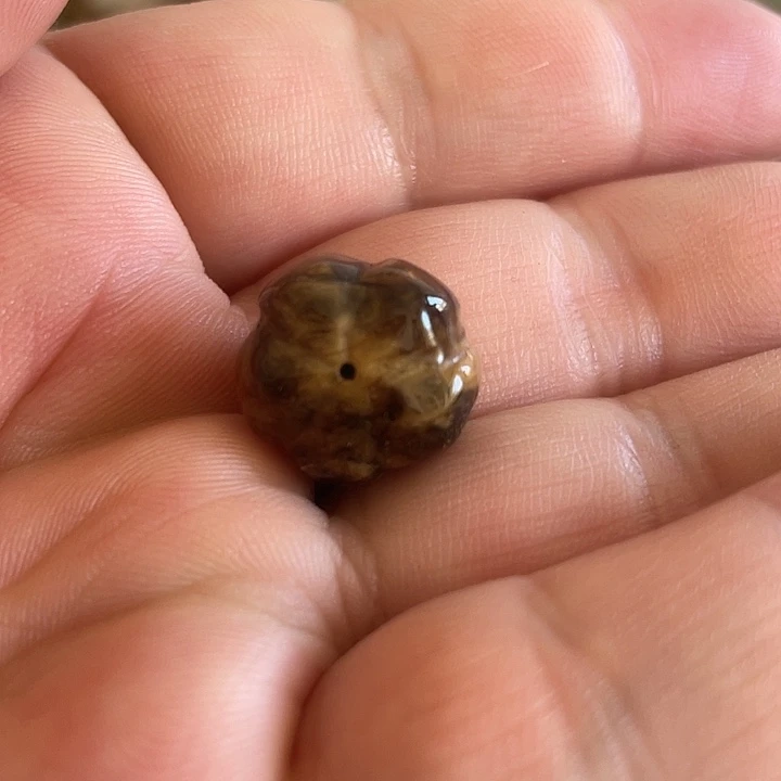 蜜蜡未镶嵌裸石五瓣花