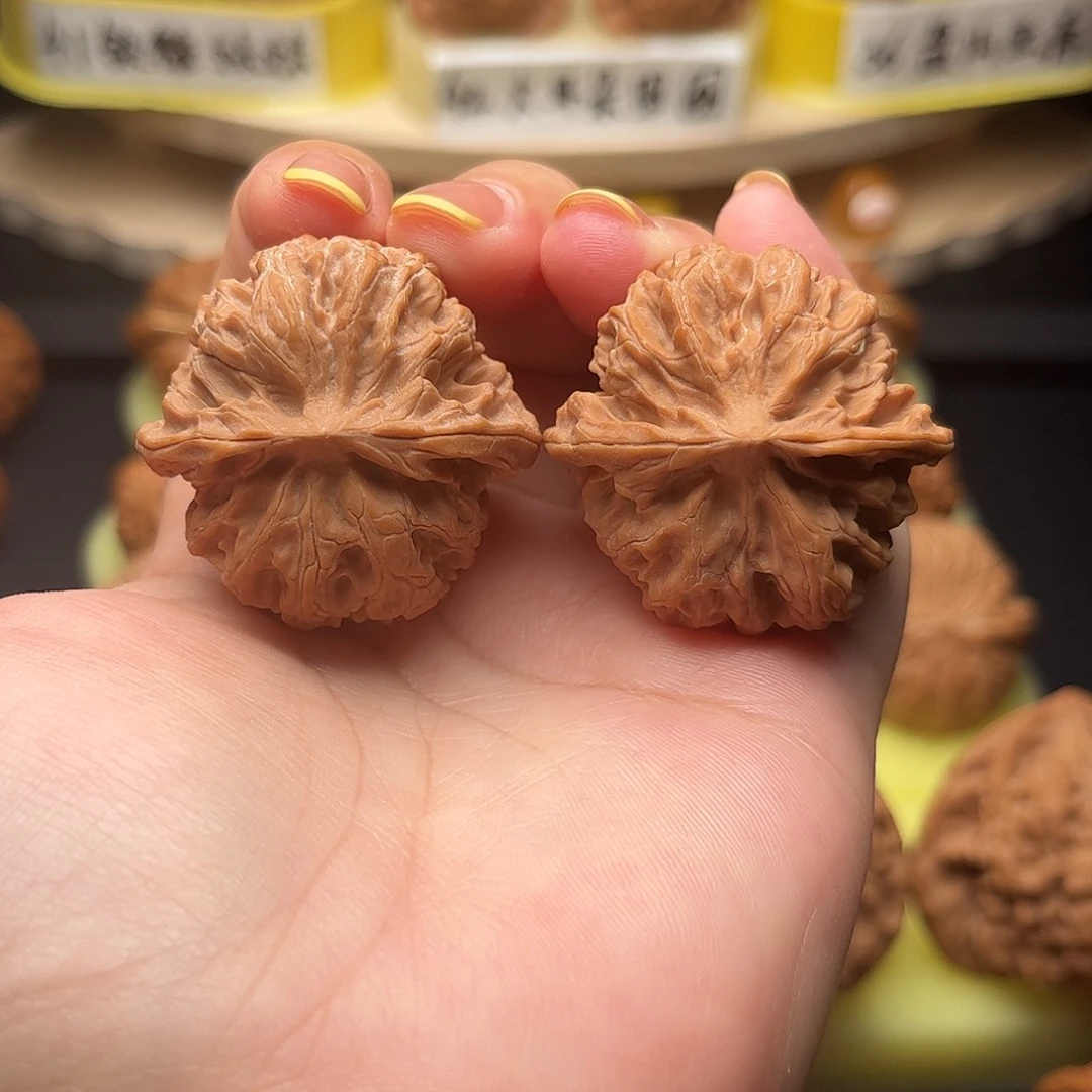 核桃38苹果园狮子头