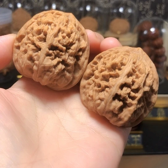 全品：油蜡皮凤凰台