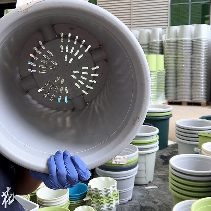 四季盆7#灰白色4个无托