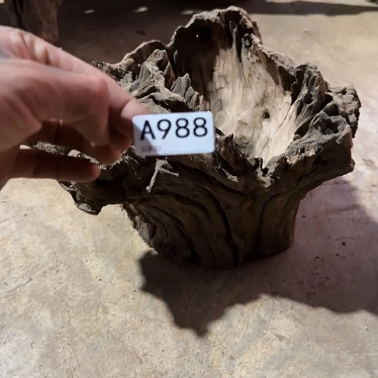 郭***间紫砂噜啦啦啦啦啦啦