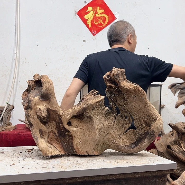 柏木虎**.我们的生活也是如此的丰富多彩