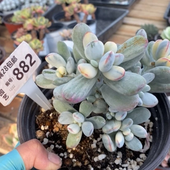 882一一一一一一一一一