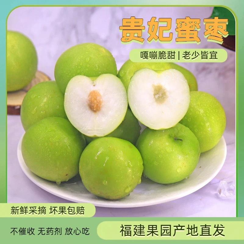 [磊磊专属礼盒装]福建新鲜贵妃枣牛奶蜜枣当季脆甜多汁现摘孕妇