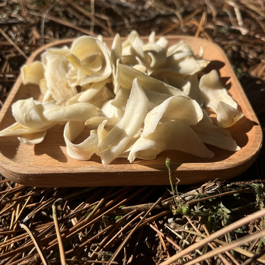 【新品】纯正百合干片 美味营养可口 新鲜百合自然采摘