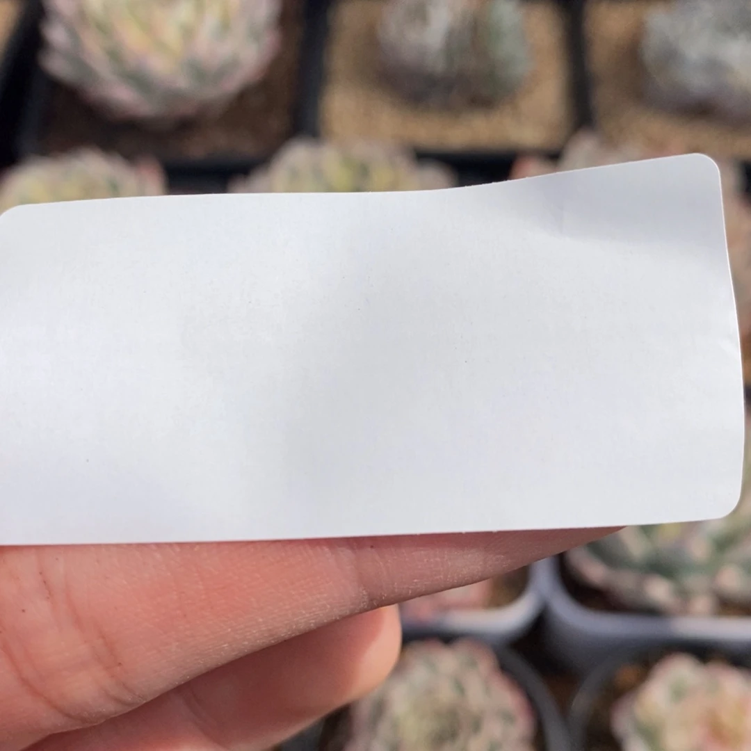 快递链接11111111