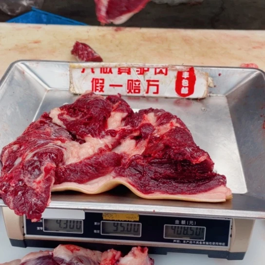 【闪购商品】冷冻保存30天包装河北省