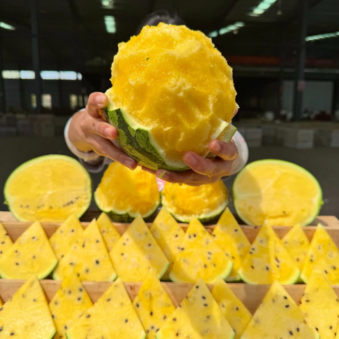 【脆甜多汁】海南头茬特小凤黄心小西瓜 皮薄肉厚  2-8斤 顺丰