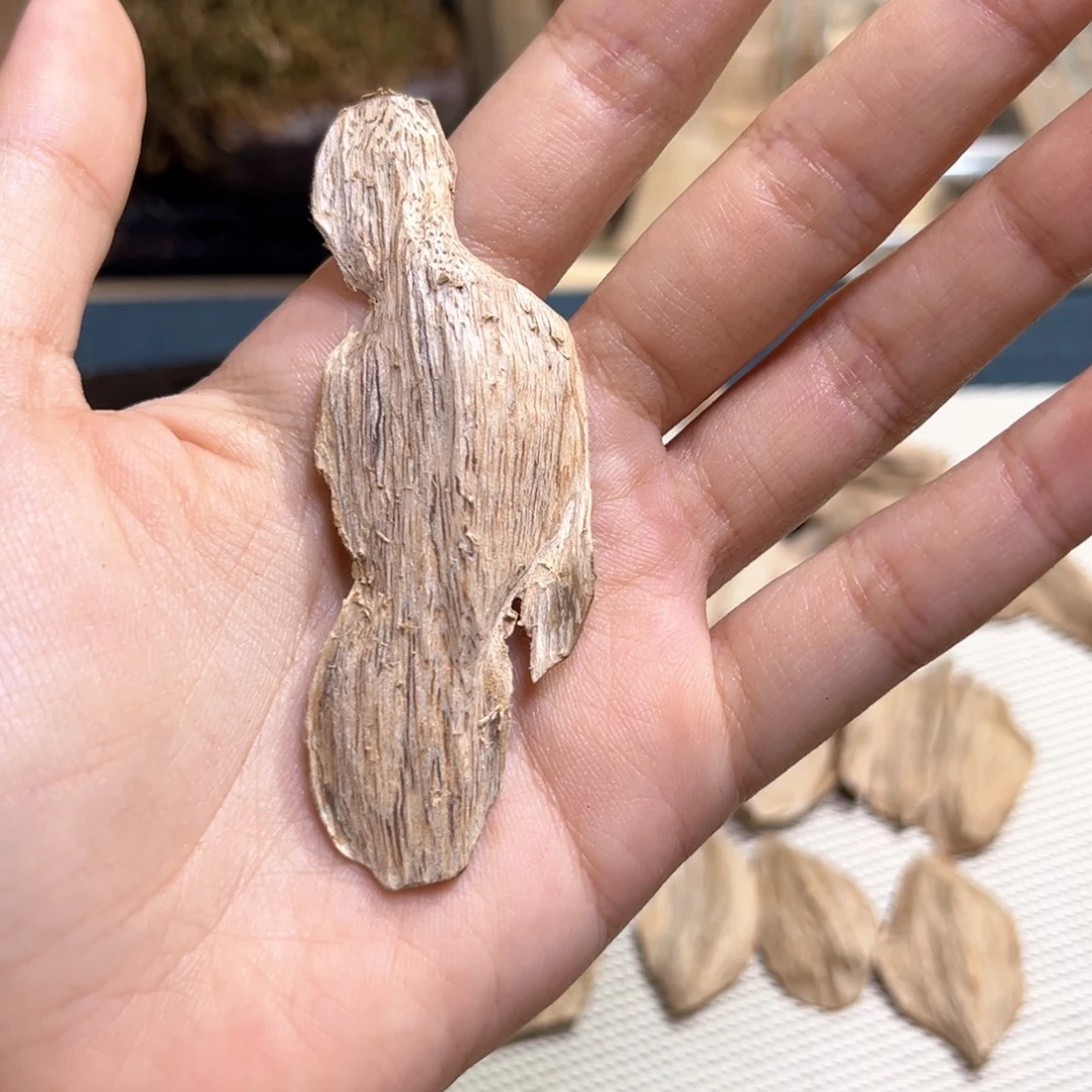 S***8香榧木广西虎斑棋2.5克重福利