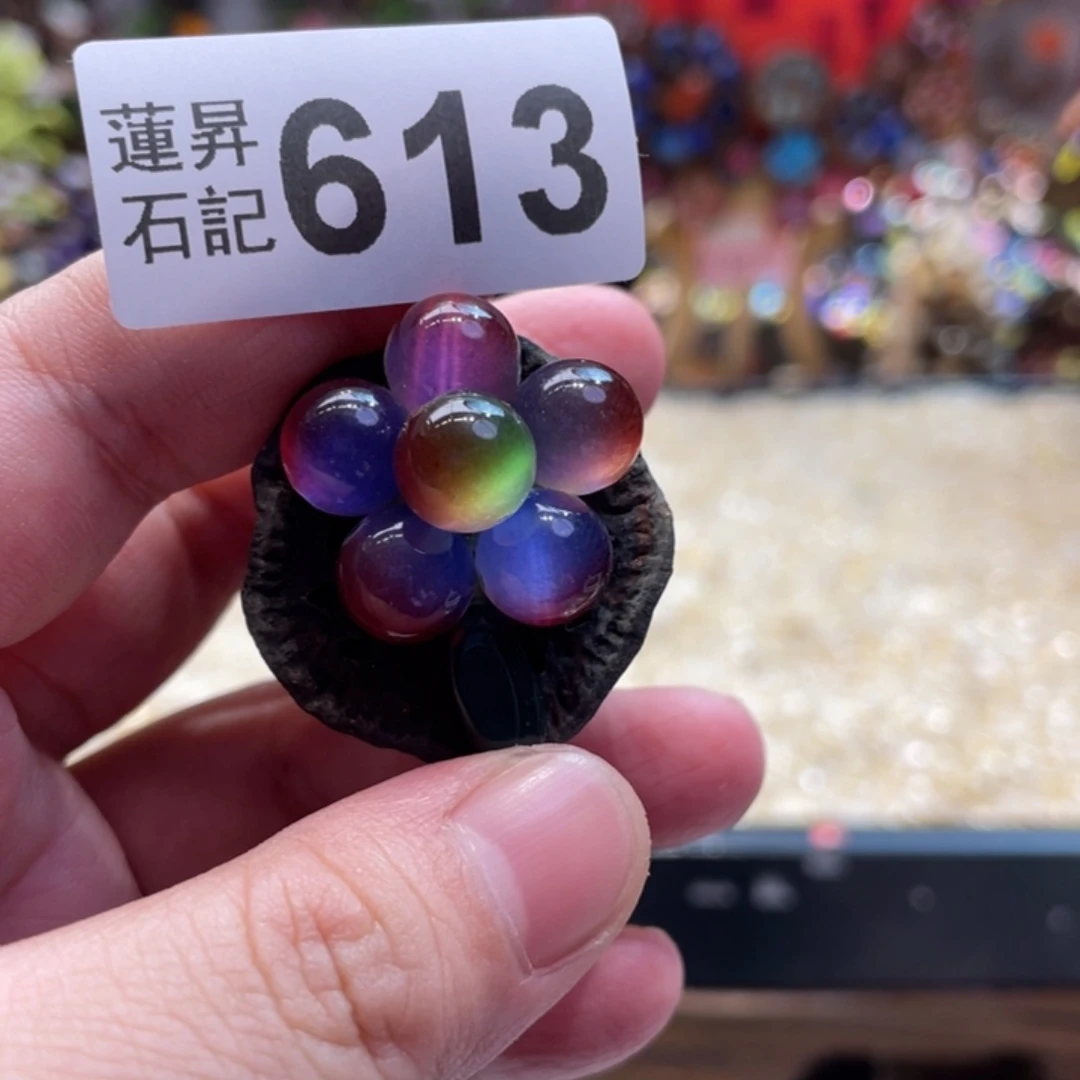 核桃木/黑胡桃（胡桃木）613