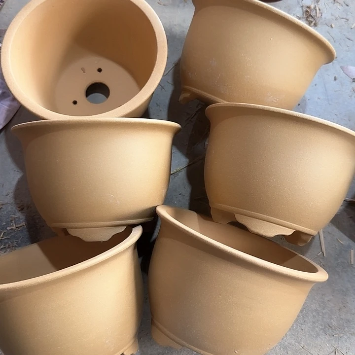 19×12六只黄段泥特价福利