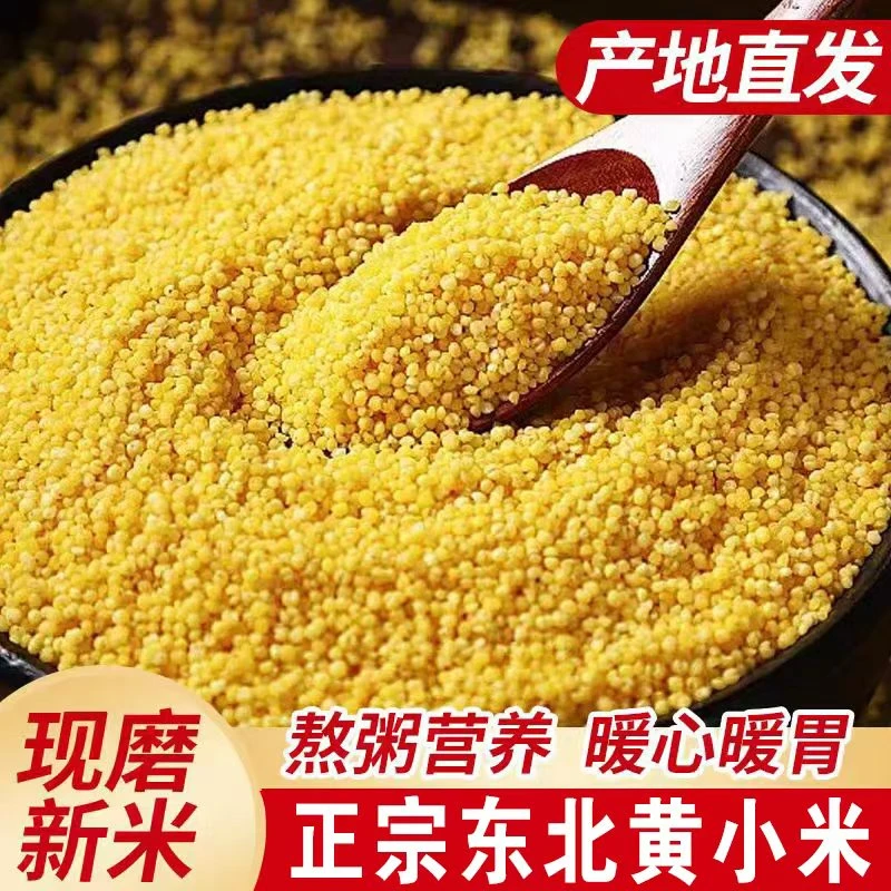 【2025年现磨新米】东北黄小米食品早餐农家新米熬粥米油优质杂粮
