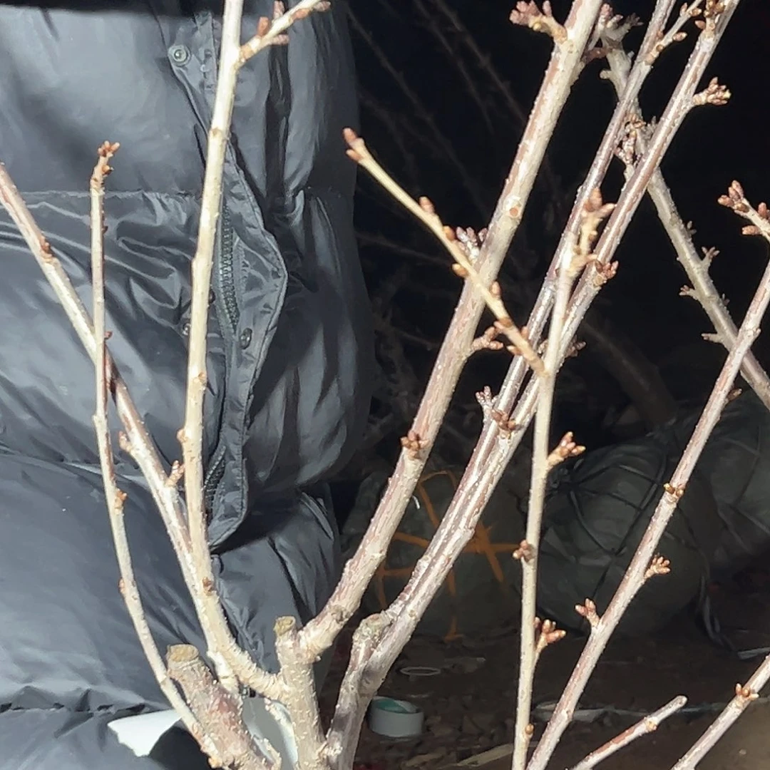 闲***人直播间专拍直播间专拍