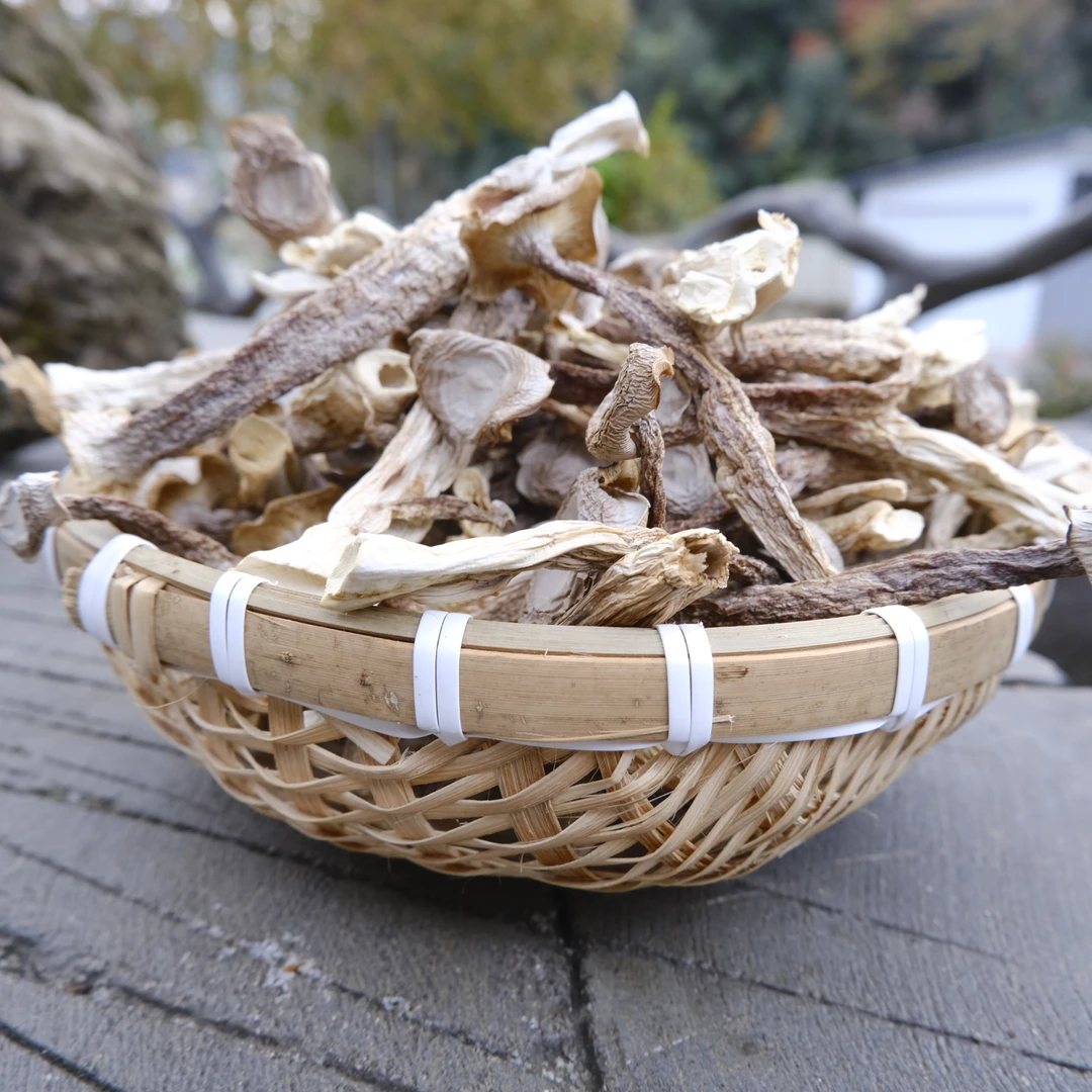 无硫无熏鹿茸菇新货可凉拌炒肉煲汤的干货