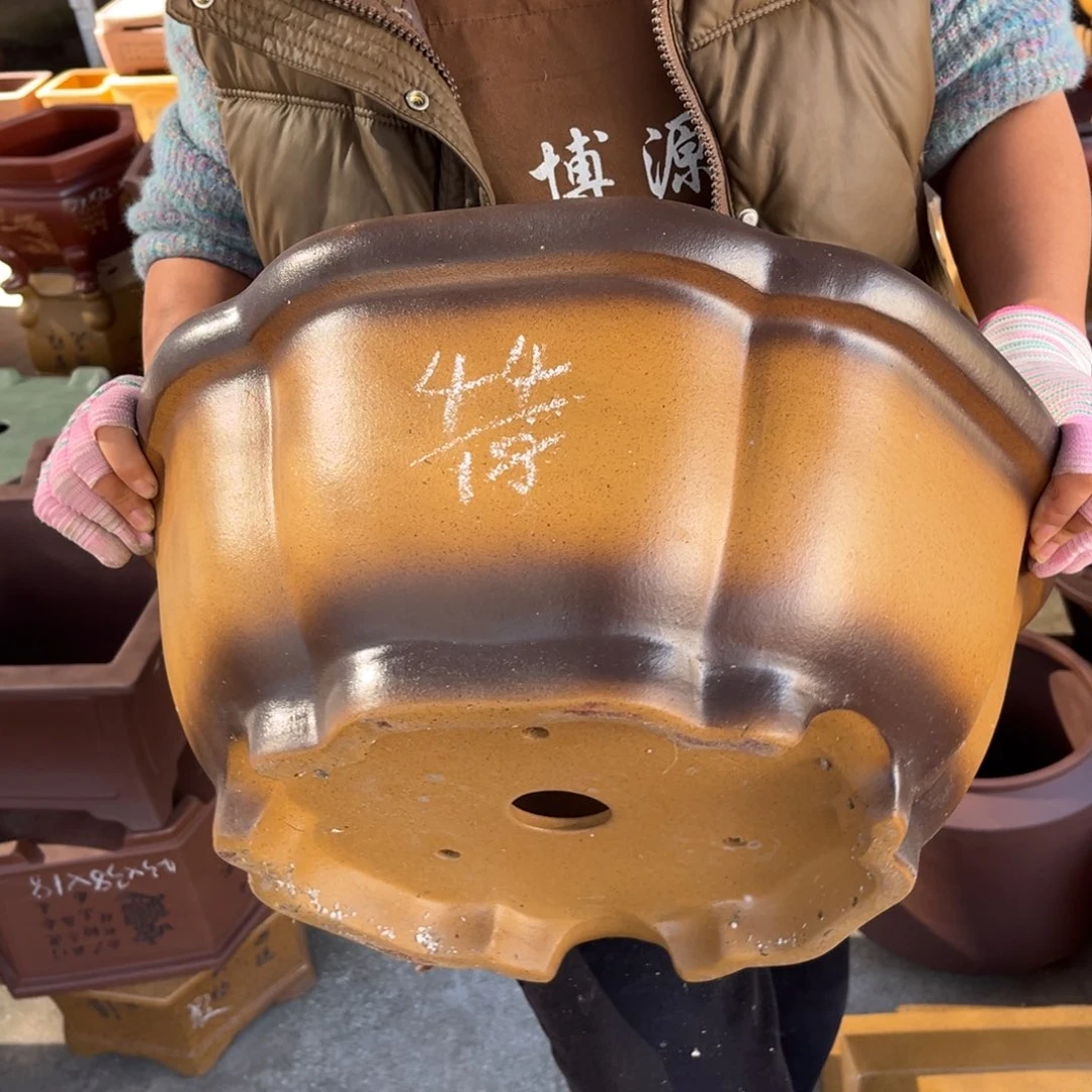 紫砂花盆盆景艺术