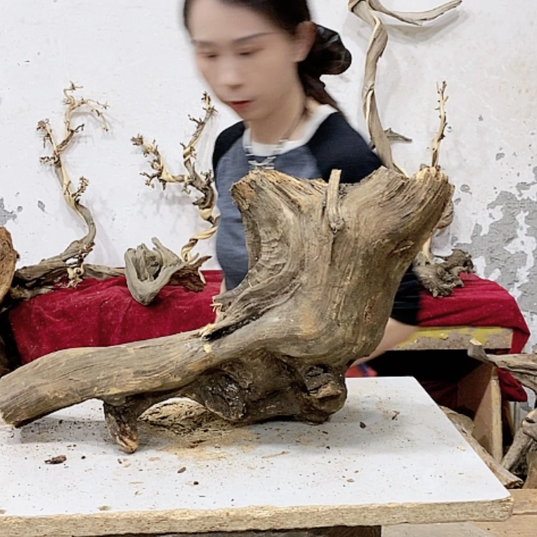 【闪购商品】柏木西****?我们都是好孩子
