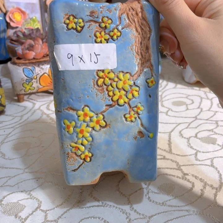 多肉花盆满15包邮