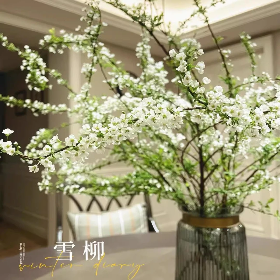 雪柳鲜枝枯木逢春遇水开花水培水养耐寒室内外喷雪花花卉干枝绿植