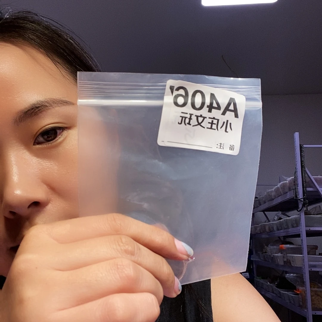 【闪购商品】黑檀木406