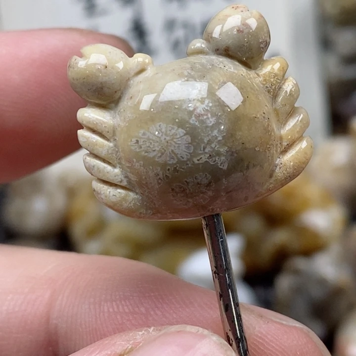 颈饰未镶嵌硅化珊瑚（珊瑚玉）小