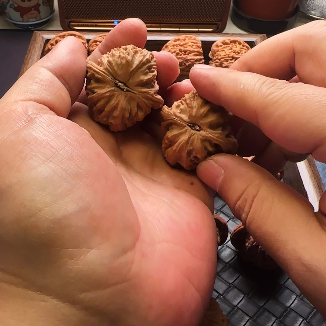 y***y把件文玩核桃三角白