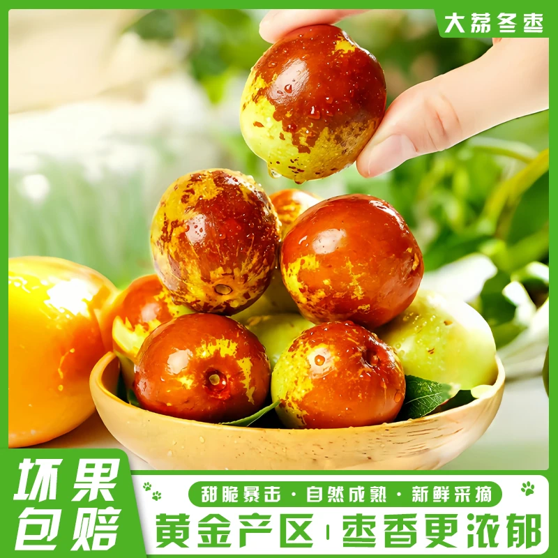 【顺丰包邮】陕西大荔冰糖冬枣新鲜应季脆甜水果自家果园1/2/3斤