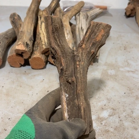 大果紫檀（缅甸花梨）曾***诺