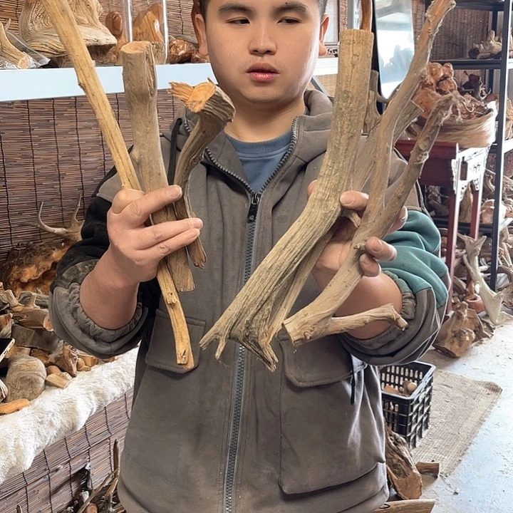 *****柏木（崖柏）Ew6666666