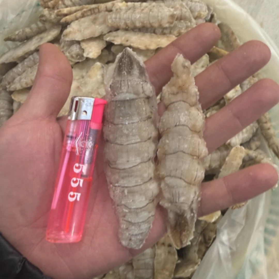 渤海湾本唐山本地皮皮虾肉！3斤起！原汁原味！没过淡水！京东包邮