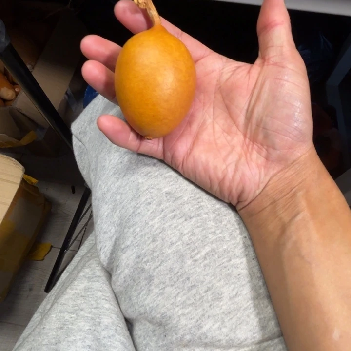 K***oQQ的一把小芒果小芒果葫芦
