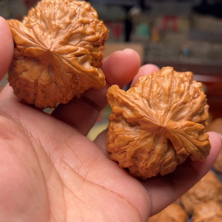 核桃52龙鼎龙鼎鼎盛