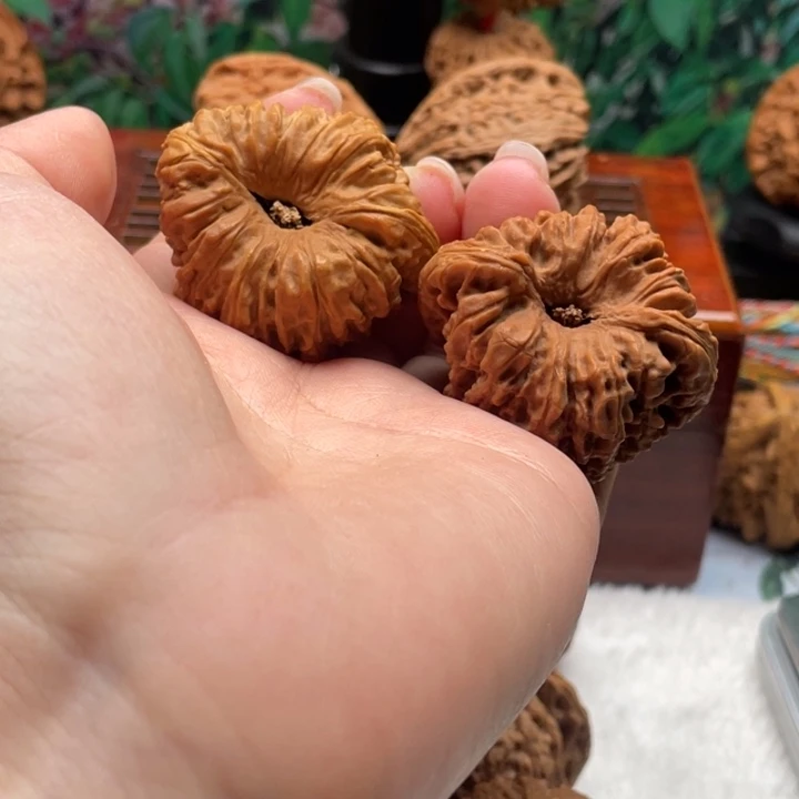 發**發物美价廉 物美价廉